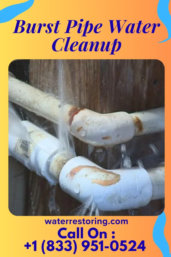 Burst Pipe Water Cleanup in Cave Spring, VA