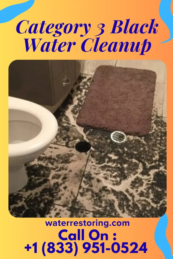Category 3 Black Water Cleanup in Cave Spring, VA
