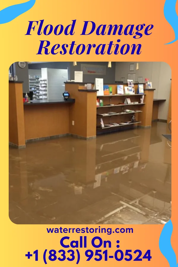 Flood Damage Restoration in Cave Spring, VA