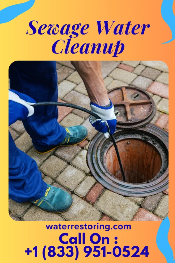 Sewage Water Cleanup in Cave Spring, VA